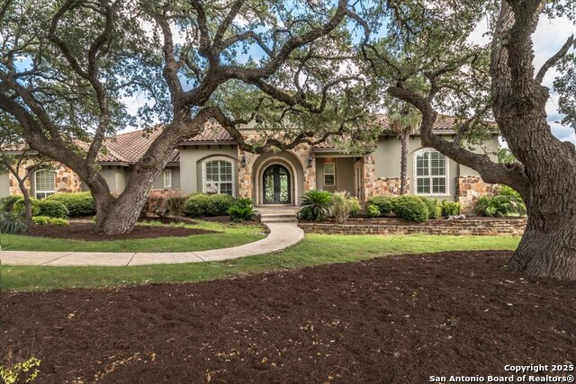 11306 Anaqua Springs, Boerne, Texas image 1