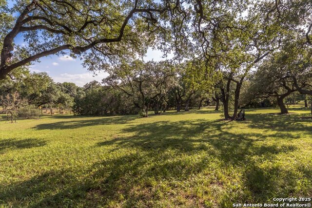 11306 Anaqua Springs, Boerne, Texas image 41