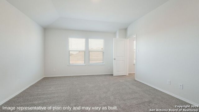 1510 Champagne Oak, New Braunfels, Texas image 13