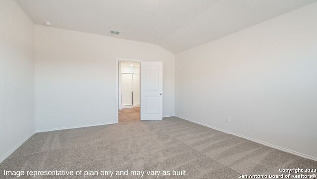 1510 Champagne Oak, New Braunfels, Texas image 14