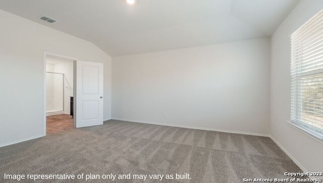 1510 Champagne Oak, New Braunfels, Texas image 15