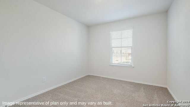 1510 Champagne Oak, New Braunfels, Texas image 18
