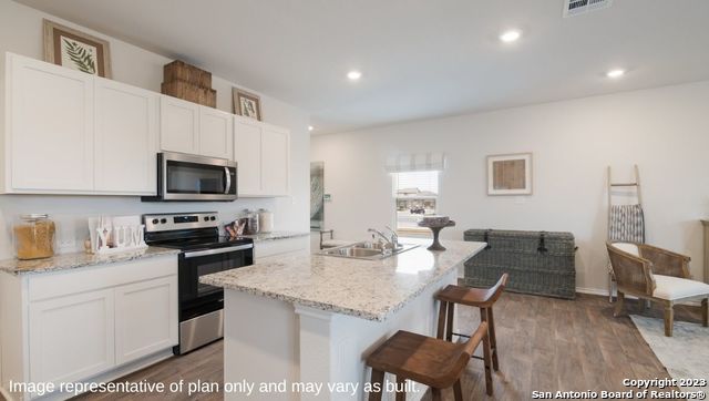 1502 Champagne Oak, New Braunfels, Texas image 12