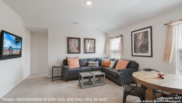 1502 Champagne Oak, New Braunfels, Texas image 18