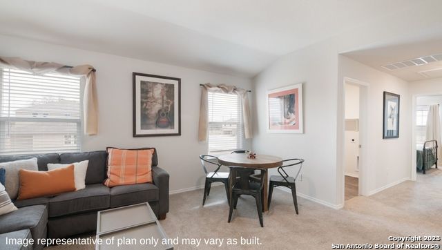 1502 Champagne Oak, New Braunfels, Texas image 19
