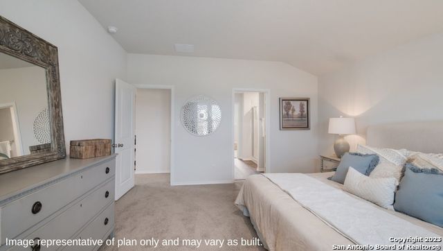 1502 Champagne Oak, New Braunfels, Texas image 20