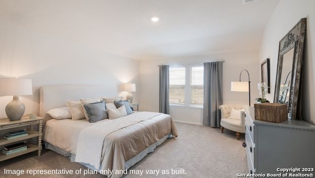 1502 Champagne Oak, New Braunfels, Texas image 21