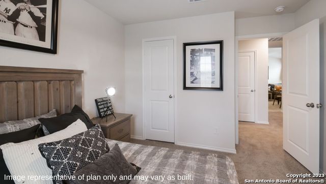 1502 Champagne Oak, New Braunfels, Texas image 26
