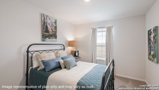 1502 Champagne Oak, New Braunfels, Texas image 28