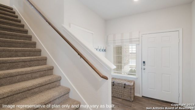 1502 Champagne Oak, New Braunfels, Texas image 3
