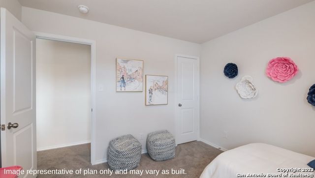 1502 Champagne Oak, New Braunfels, Texas image 30