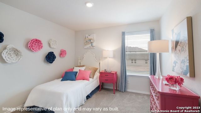 1502 Champagne Oak, New Braunfels, Texas image 31