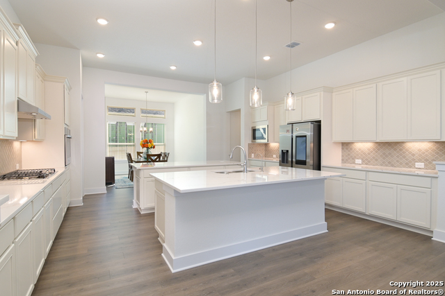 524 Cotorra Springs, Cibolo, Texas image 10