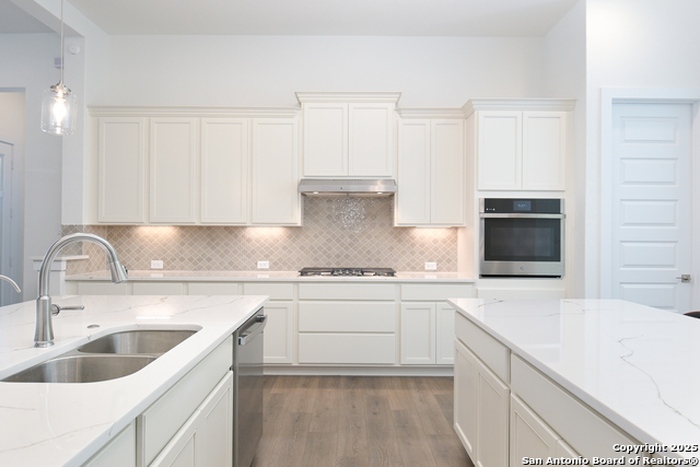 524 Cotorra Springs, Cibolo, Texas image 11