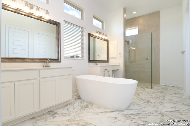 524 Cotorra Springs, Cibolo, Texas image 15