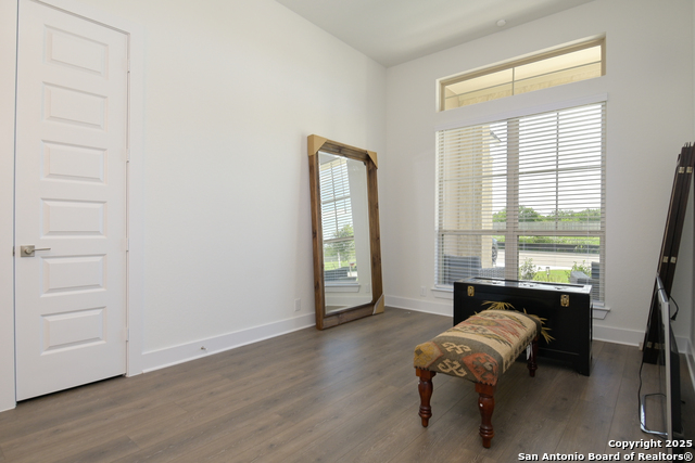 524 Cotorra Springs, Cibolo, Texas image 22