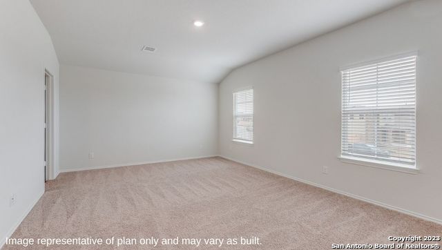 1524 Agave Cellar, New Braunfels, Texas image 15