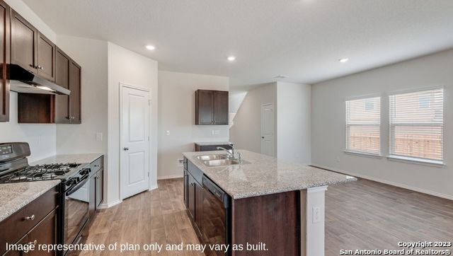 1524 Agave Cellar, New Braunfels, Texas image 5
