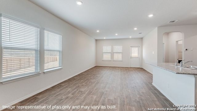 1524 Agave Cellar, New Braunfels, Texas image 9