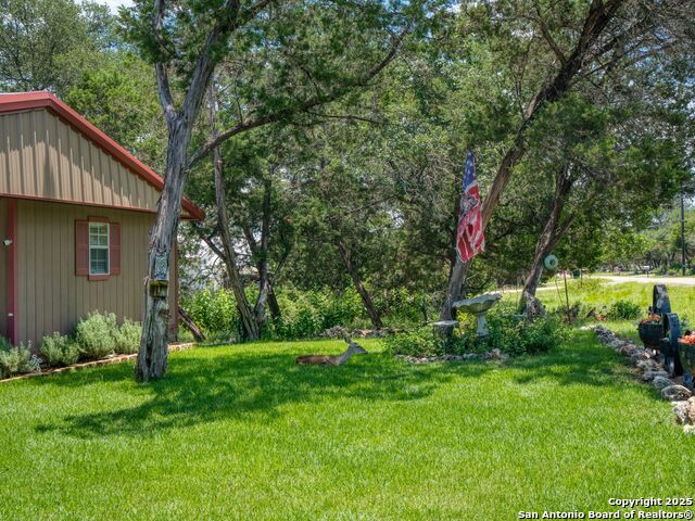 4386 Morningside, Canyon Lake, Texas image 25