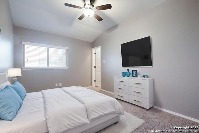 213 Stoeger Dr, New Braunfels, Texas image 23