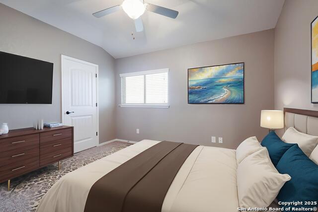 213 Stoeger Dr, New Braunfels, Texas image 25
