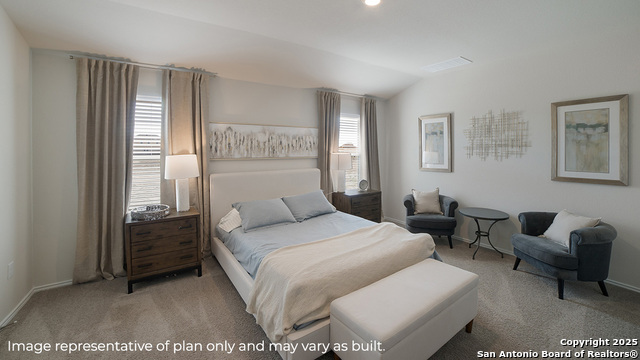 1447 Chianti Pass, New Braunfels, Texas image 12