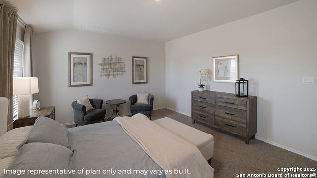 1447 Chianti Pass, New Braunfels, Texas image 13