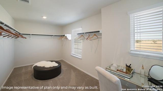 1447 Chianti Pass, New Braunfels, Texas image 17