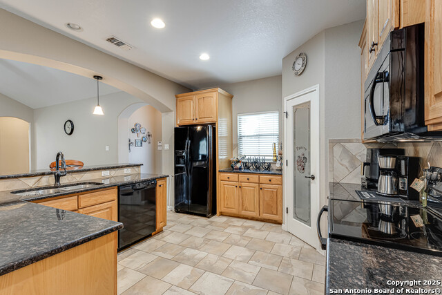 205 Sendera Crossing (1.4 Acres), La Vernia, Texas image 7