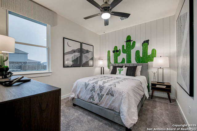 409 Sawtooth Oak, Seguin, Texas image 19