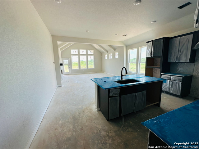 409 Sawtooth Oak, Seguin, Texas image 3