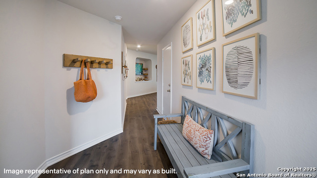 615 Sumpter Banks, Cibolo, Texas image 3