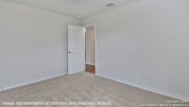 647 Fluted Shoals, Cibolo, Texas image 10