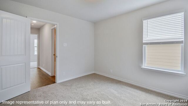 647 Fluted Shoals, Cibolo, Texas image 18