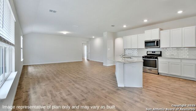 647 Fluted Shoals, Cibolo, Texas image 4