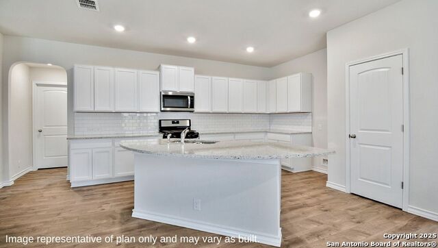 647 Fluted Shoals, Cibolo, Texas image 6