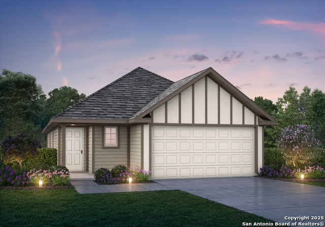 8810 Black Oak Drive, Elmendorf, Texas image 1