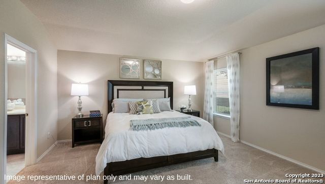 628 Sumpter Banks, Cibolo, Texas image 11