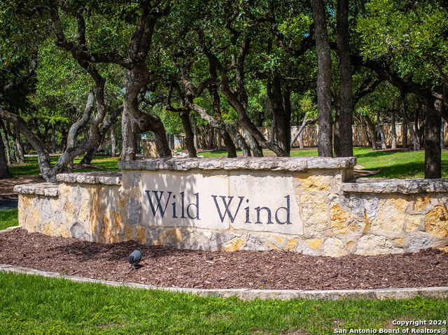 19803 Wild Holw, Garden Ridge, Texas image 45