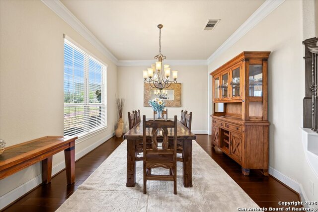1131 Barolo, New Braunfels, Texas image 11