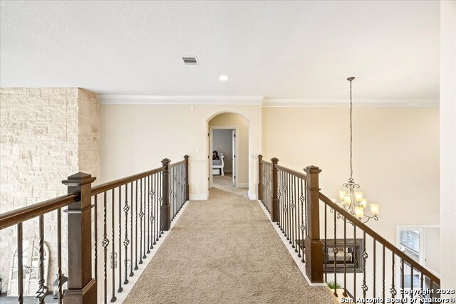 1131 Barolo, New Braunfels, Texas image 37