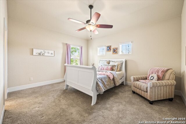 1131 Barolo, New Braunfels, Texas image 42
