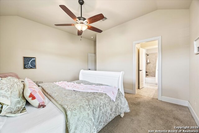 1131 Barolo, New Braunfels, Texas image 43