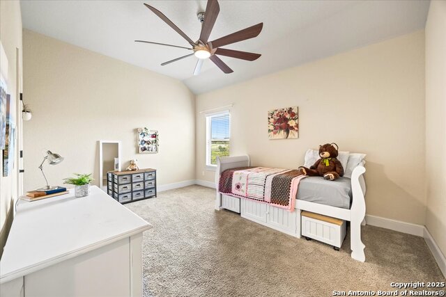 1131 Barolo, New Braunfels, Texas image 46