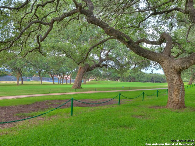 7801 Timber Top Dr, Fair Oaks Ranch, Texas image 9