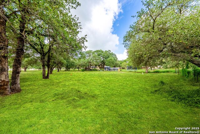 411 Shannon Ridge Dr, Floresville, Texas image 38