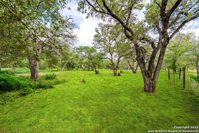 411 Shannon Ridge Dr, Floresville, Texas image 39