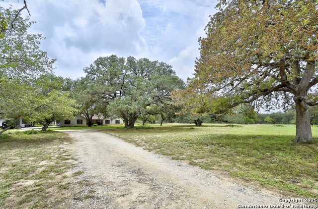 1810 Burr Oak, Adkins, Texas image 10