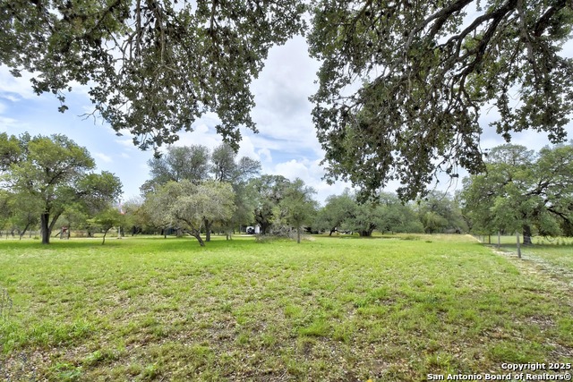1810 Burr Oak, Adkins, Texas image 12